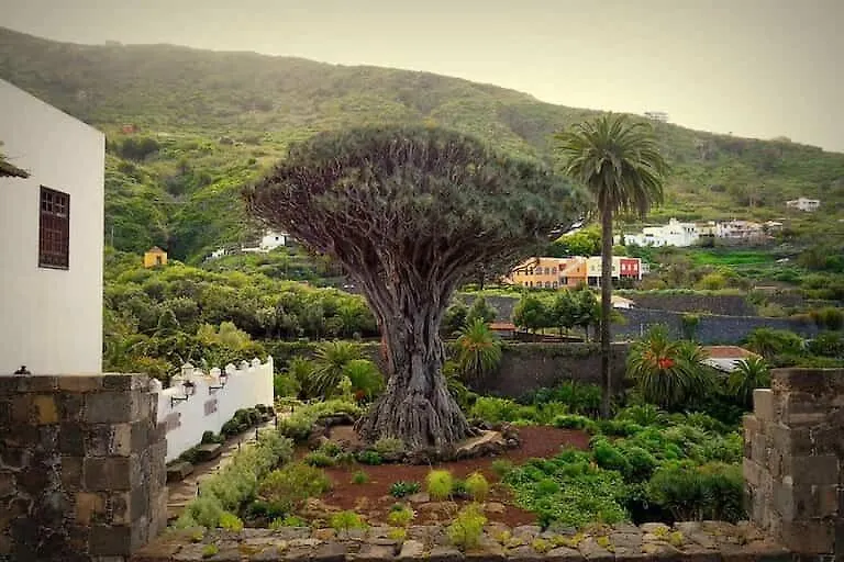 La Vinita En איקוד דה לוס וינוס דירה